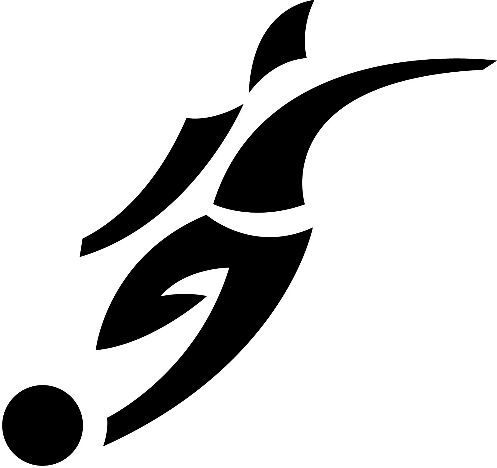 logo de Copa Nike 2015